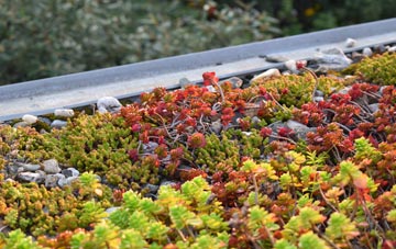 the cost of Hockholler Green green roof installation