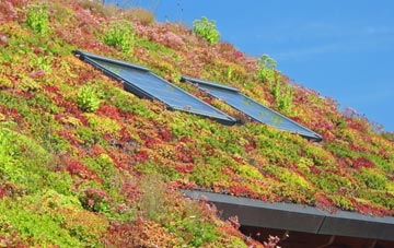 Hockholler Green living roof systems