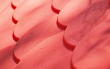 Hockholler Green plastic roof costs